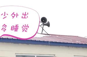 Each village big horn puts Heilongjiang treasure Qing Dynasty epidemic prevention doggerel: Little g