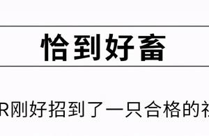 当代社畜的身体变化：啊，我要变身啦