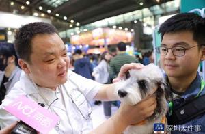 深圳国际宠物用品展开幕，汪星人开运动会，撒泼打滚萌翻全场