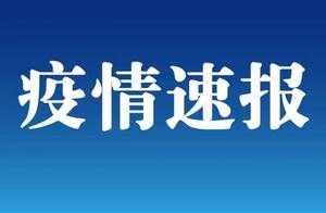新疆喀什地区疏附县报告1例无症状感染者，17岁，目前机场已恢复运营