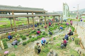 Spring day collects green busy