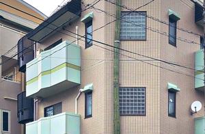 日本仙人掌暴长3层楼高 顶部长出奇葩人形 网友：它逃跑了