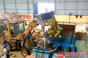61.55吨榴莲变有机肥！系东兴海关在边境查获的走私货物