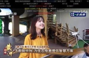 美女记者走红背后，直男为什么抵抗不了初恋脸？