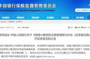 网络小贷新规来了 两部门：贷款不得用于买房炒股