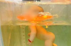 悲剧！婴儿在家人监护下游泳窒息身亡，新手家长一定要注意