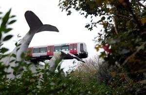 荷兰城轨列车脱轨 幸获鲸鱼雕像“托举”