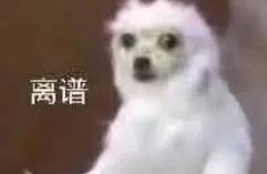 我有一个愿望，如果哆啦A梦今天能帮我实现...