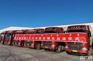蒙古国捐赠的羊羊羊……肉来了