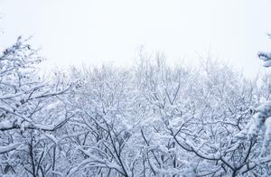 组图 | 云台山迎来今冬初雪，银装素裹美不胜收