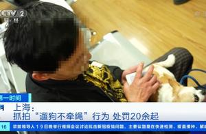 上海处罚超20起遛狗不牵绳行为，网友：支持
