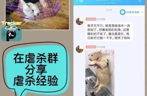 网曝浙江警察学院教师虐杀动物 目前该校已介入调查