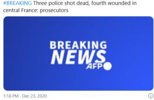法国3名警察解救遭家暴女子 被当场枪杀