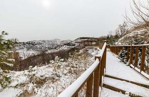 After Jinan snow panoramic graph! One pink uprise looks far, label with camera lens 2020 of yours