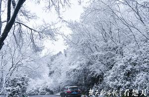 天虽寒，但地未冻，雪花落地就化了！9级偏北大风，武汉大雪横飞，明起放晴三天迎新年