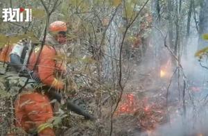 云南迪庆1100余人扑救森林火灾，东北火线已基本得到控制