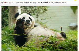 英国考虑将大熊猫送回中国 动物园：疫情期间缺钱，养不起了