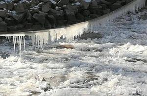 极寒天来了！济南黄河冰凌迅速增加