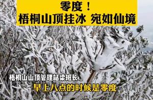 深圳梧桐山出现霜冻，罕见