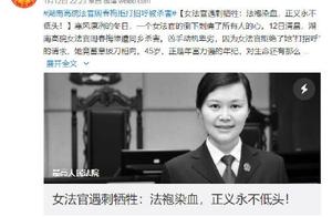 两高分别对湖南女法官遇刺身亡发声：凶手必将受到依法严惩