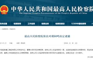 刚刚！原中国船舶重工集团董事长胡问鸣、青海省原副省长文国栋被决定逮捕
