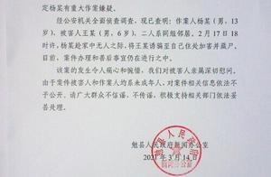 陕西勉县通报6岁男童死亡案：作案人为13岁邻居 将其诱骗至住处加害并藏尸