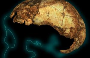 科学家发现了200万年前的直立人头骨