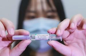 中国新冠疫苗正式面向大众，全民免费接种，附疫苗接种注意事项