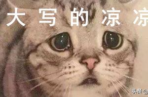 那些蹭热点蹭凉的娱乐圈“高流量”，热点有风险，要蹭需谨慎