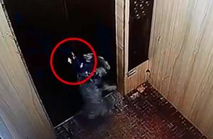 惊险一幕！狗狗乘坐电梯牵引绳被卡，瞬间被吊在空中14秒