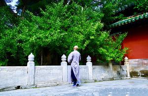 大觉禅寺一个容易被忽略的地方，这里的红叶银杏却惊艳了整个北京