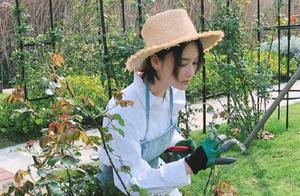 33 years old of Zhang Xin grant busy plant a flower to plant dish, autonomic life makes a person env