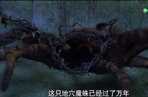 斗罗电视剧：唐三第四个魂环来自万年魔蛛，这辈子和蜘蛛过不去了