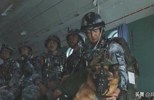 空降兵空降犬一起伞降，军犬全套装备正规编制，渗透掩护落地能战