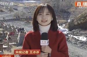 央视记者王冰冰登上热搜，长相甜美还是学霸，好看的都上交国家了