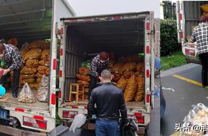 一场暖心土豆消灭战！4吨土豆滞销，小区居民帮吃帮卖