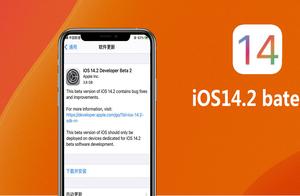 iOS 14.2 Beta2推送 更稳定但BUG依旧很多