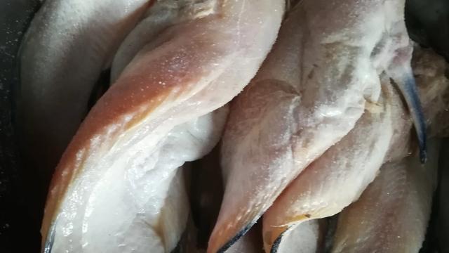 杀鱼为什么要淘鱼鳃