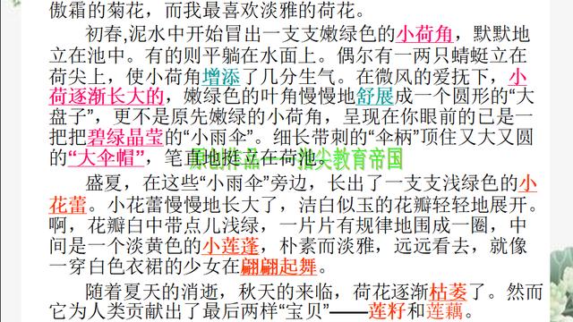 怎么写植物作文