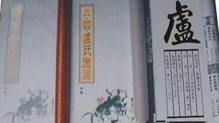  卢姓女孩名字大全