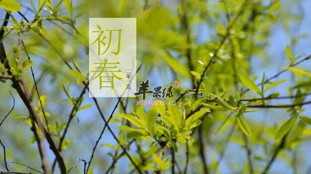 2月份吃什么水果好2月份有什么水果