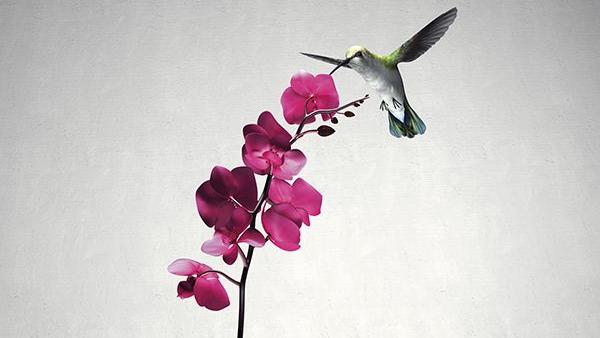 華清池詞句