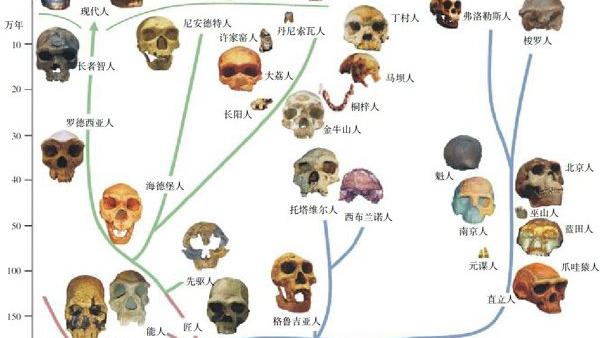 怎样才能使祖国强大起来