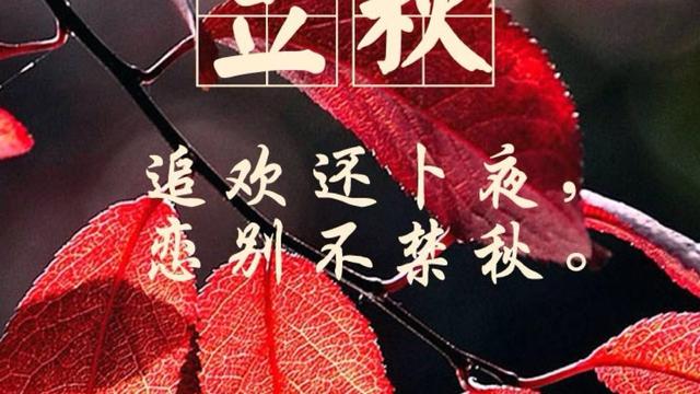 立秋最有诗意的诗句刘禹锡