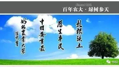 校外住宿保证书