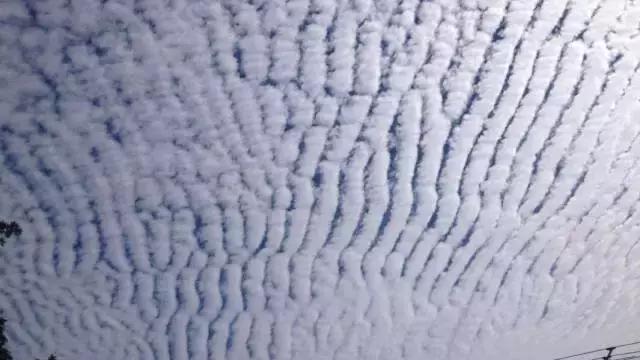 大地震来临前征兆