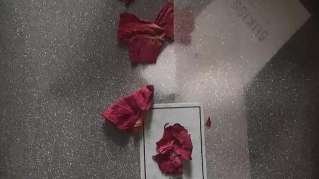 为什么喜欢一个人却不主动联系呢