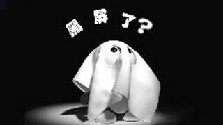 电脑开机一段时间后显示器黑屏是什么原因啊