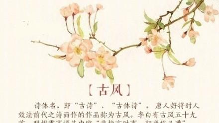 有关诗歌的知识大全