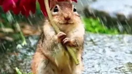 高中毕业证丢了怎么查毕业证编号查询